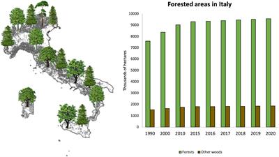 Forest Health in Italy: Learning From the Xylella Incursion